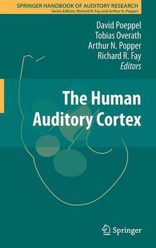 Cover image for The Human Auditory Cortex