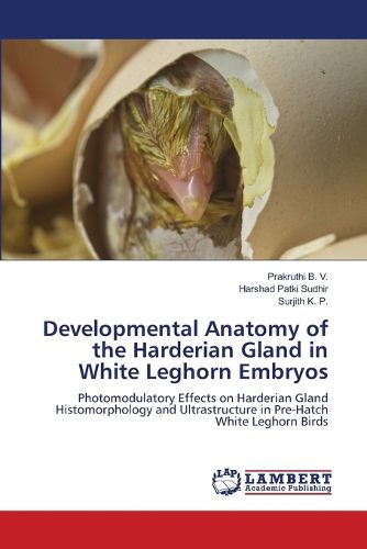 Cover image for Developmental Anatomy of the Harderian Gland in White Leghorn Embryos