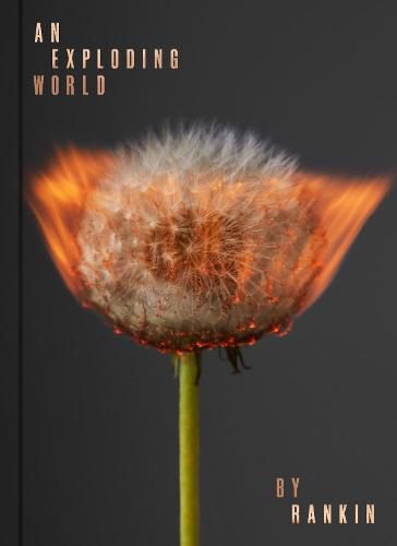 Cover image for An Exploding World