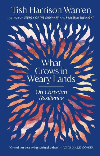 Cover image for What Grows in Weary Lands