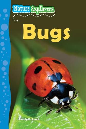 Cover image for Bugs