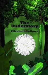 Cover image for Understory