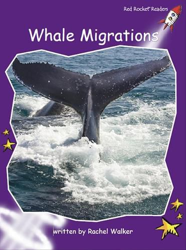 Cover image for Whale Migrations