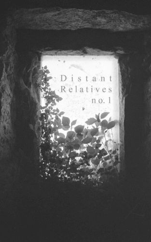Cover image for Distant Relatives 1
