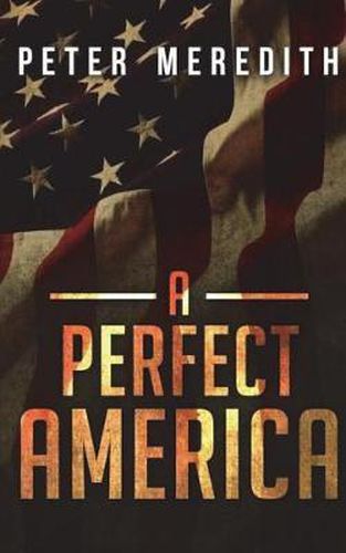 Cover image for A Perfect America