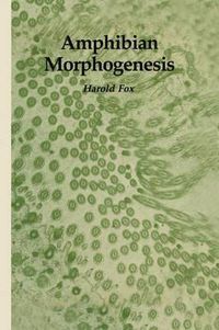 Cover image for Amphibian Morphogenesis