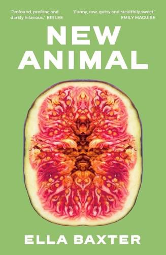 Cover image for New Animal
