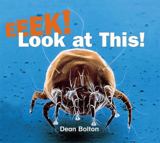 Cover image for Rigby Literacy Early Level 1: Eeek! Look at This! (Reading Level 5/F&P Level D)