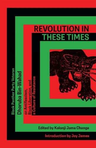 Cover image for Revolution In These Times