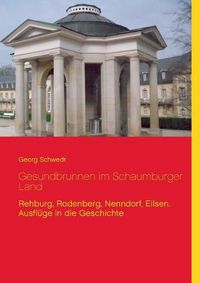 Cover image for Gesundbrunnen im Schaumburger Land: Rehburg, Rodenberg, Nenndorf, Eilsen. Ausfluge in die Geschichte