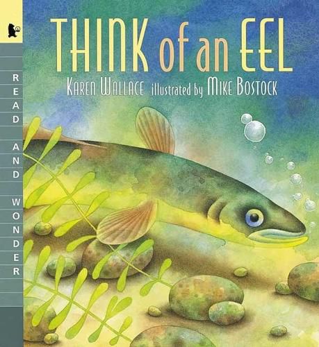 Cover image for Think of an Eel Big Book: Read and Wonder