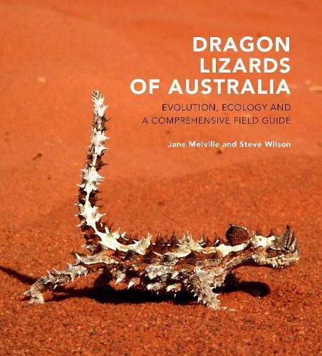 Cover image for Dragon Lizards of Australia: Evolution, Ecology and a Comprehensive Field Guide