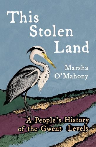 Cover image for This Stolen Land