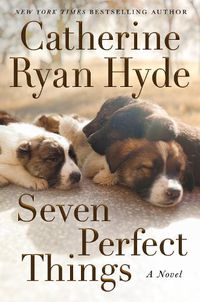 Cover image for Seven Perfect Things: A Novel