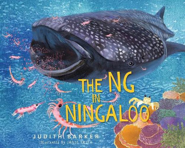 The NG in Ningaloo