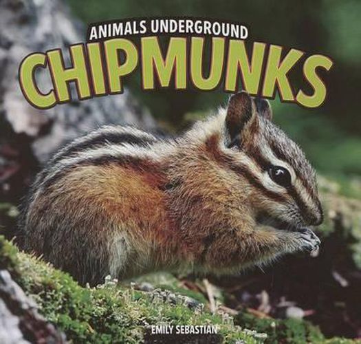 Cover image for Chipmunks