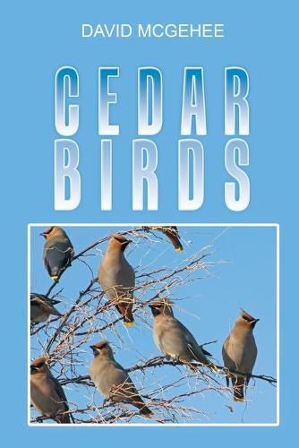 Cover image for Cedar Birds