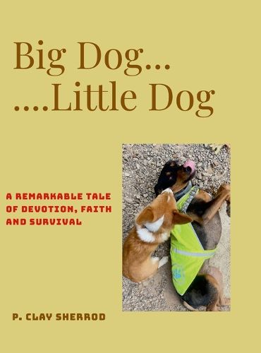 Cover image for Big Dog - Little Dog