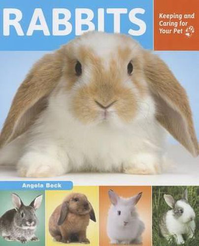 Cover image for Rabbits: Keeping and Caring for Your Pet