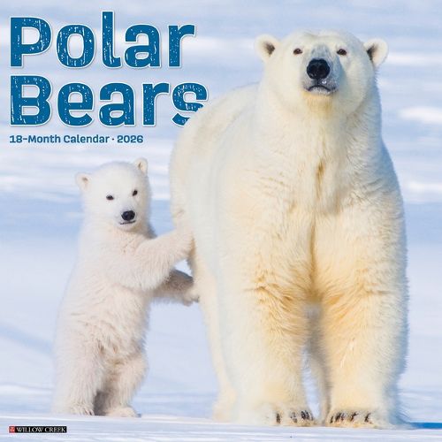 Cover image for Polar Bears 12 X 12 Wall Calendar