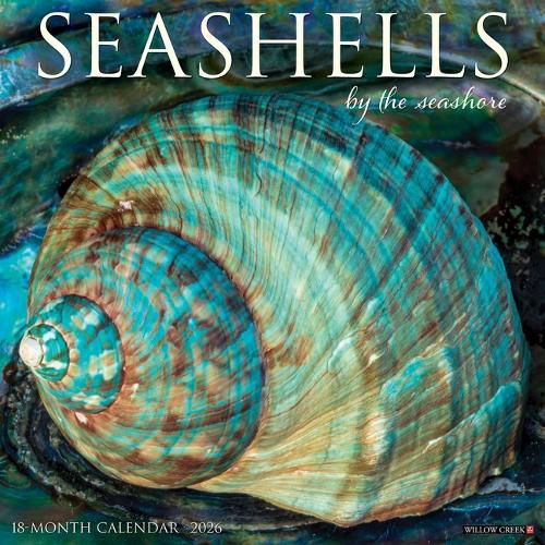 Cover image for Seashells 2026 12 X 12 Wall Calendar