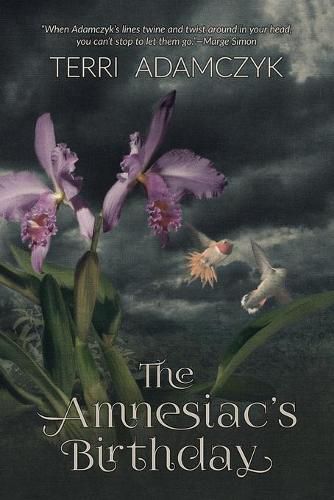 Cover image for The Amnesiac's Birthday