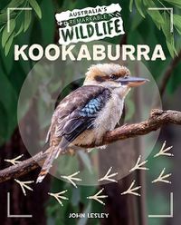 Cover image for Kookaburra