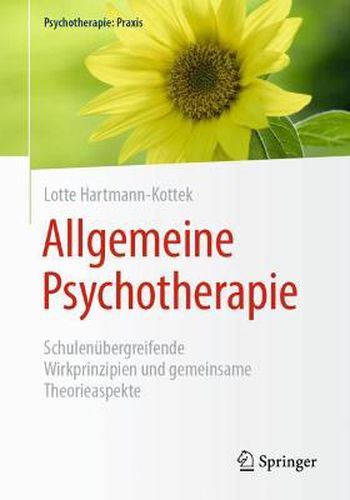 Allgemeine Psychotherapie: Schulenubergreifende Wirkprinzipien und gemeinsame Theorieaspekte