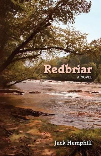 Cover image for Redbriar