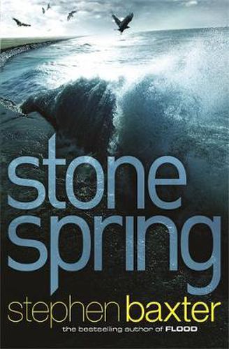 Cover image for Stone Spring