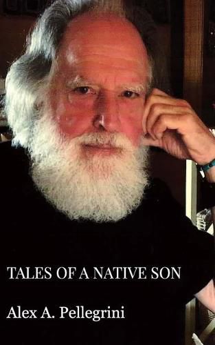 Cover image for Tales of a Native Son