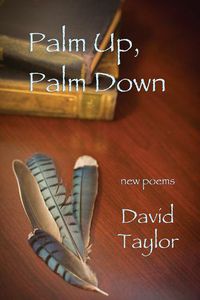 Cover image for Palm Up, Palm Down