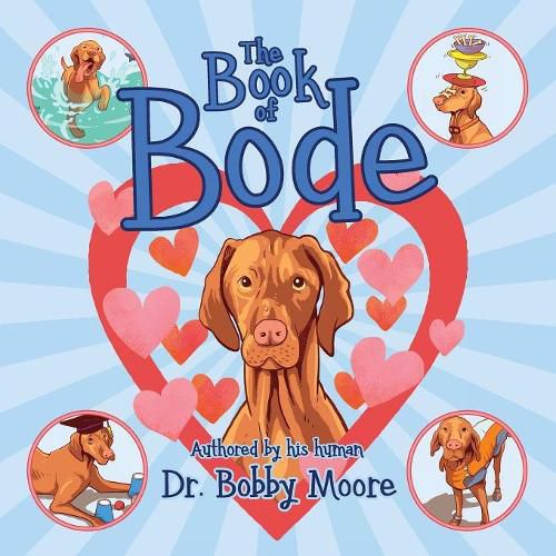 Cover image for The Book of Bode