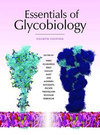 Cover image for Essentials of Glycobiology, Fourth Edition