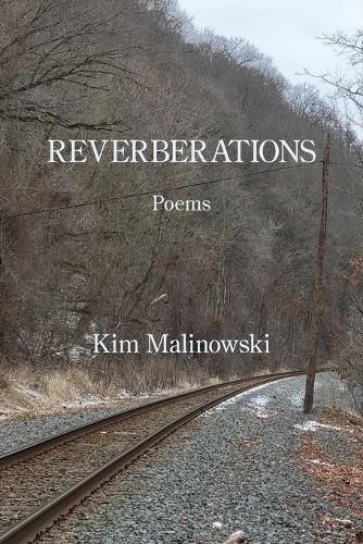 Cover image for Reverberations