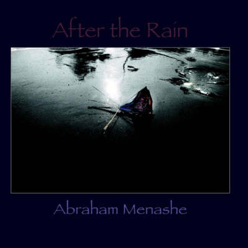 Cover image for After the Rain