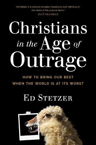 Cover image for Christians in the Age of Outrage