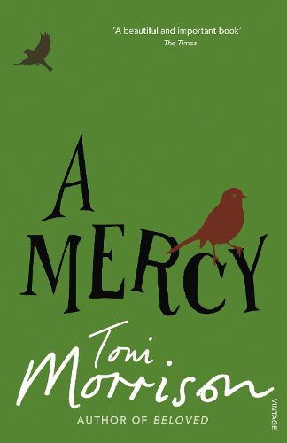 Cover image for A Mercy