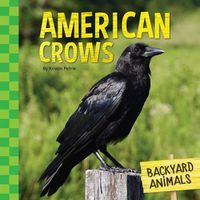 Cover image for American Crows