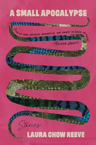 Cover image for A Small Apocalypse