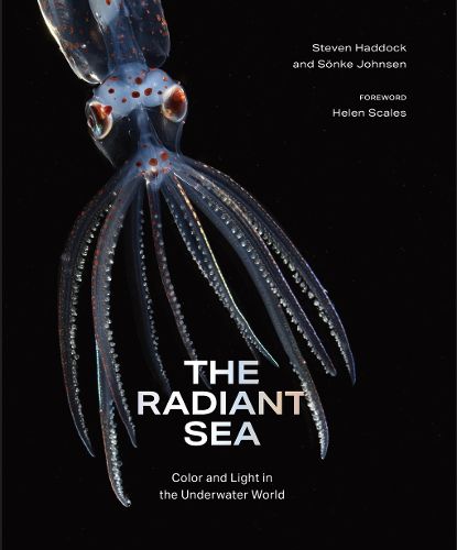 Cover image for The Radiant Sea