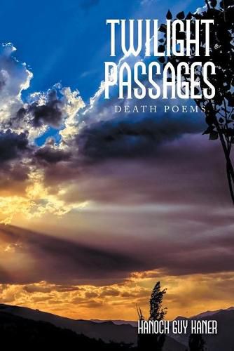 Cover image for Twilight Passages