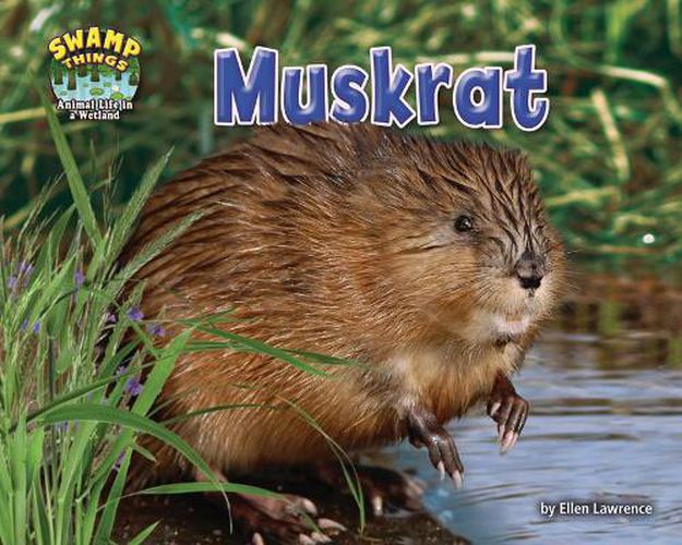 Cover image for Muskrat