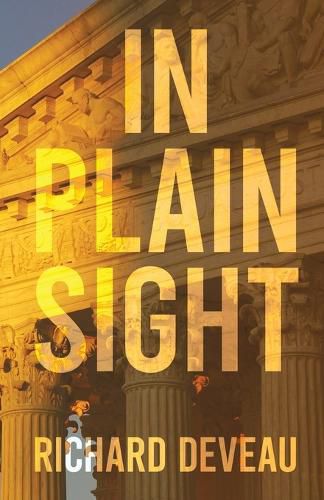 Cover image for In Plain Sight