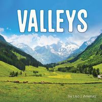 Cover image for Valleys