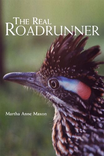 Cover image for The Real Roadrunner