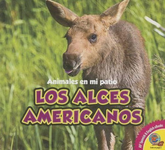 Cover image for Los Alces Americanos