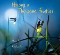 Cover image for Among a Thousand Fireflies