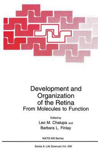 Cover image for Development and Organization of the Retina: From Molecules to Function