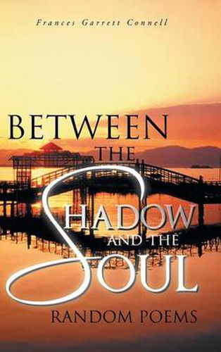Cover image for Between the Shadow and the Soul